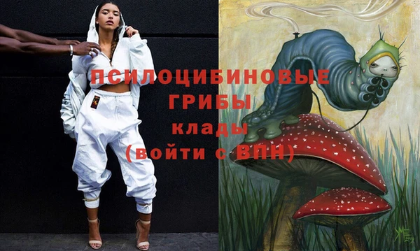 соль ск Алексеевка