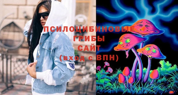 соль ск Алексеевка