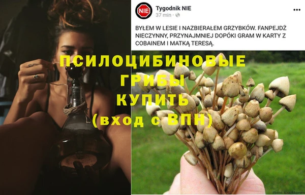 соль ск Алексеевка