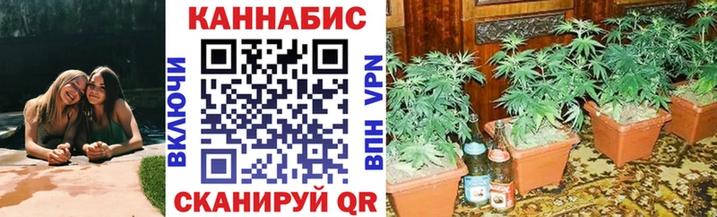 Бошки марихуана гибрид  KRAKEN как войти  Орёл 